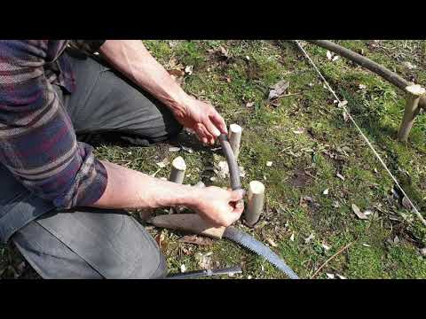 Vahşi Hayvanlara Karşı Kamp Güvenliği Almak Bushcraft