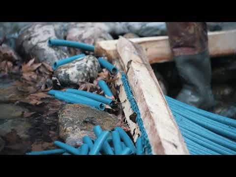 Fishing With a Perforated Plank Magnificent Trap