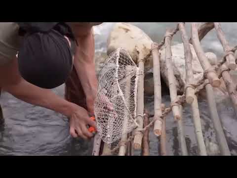 10 Amazing Fishing Techniques Balık Tutmada En Etkili 10