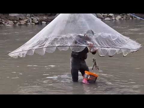 Catch a Lot of Fish With a Spreader Fishing