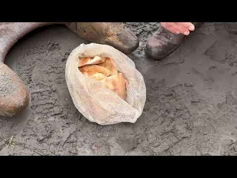Fishing with Excavator Eskavatör ile Balık Avı İnanılmaz