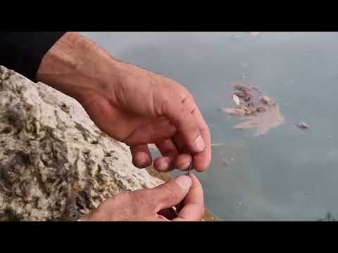Balık Tutma Alarmı Fishing Süper Teknik