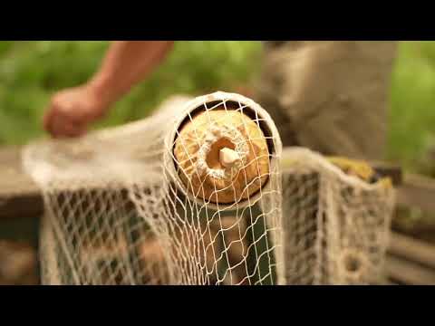 Rocket Fishing Roket İle Balık Avı र क ट फ श ग