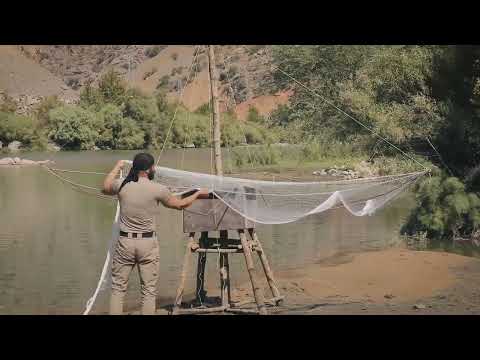 FISHING WITH THE OCTOPUS SYSTEM Ahtapot Sistemi İle Balık