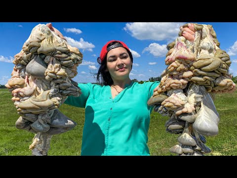 A Gastronomic Journey from Chicken to Lamb I Cook Dishes in