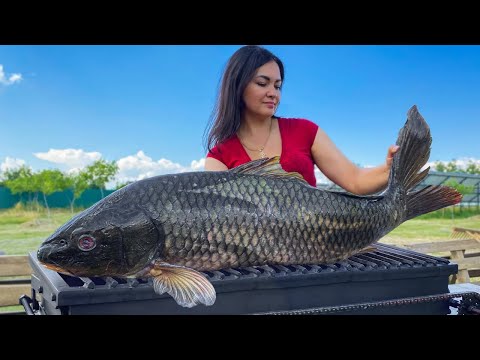Three Variants of Tempting Dishes with Carp From Royal