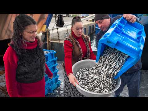 Fresh Anchovies and One Huge Black Sea Turbot