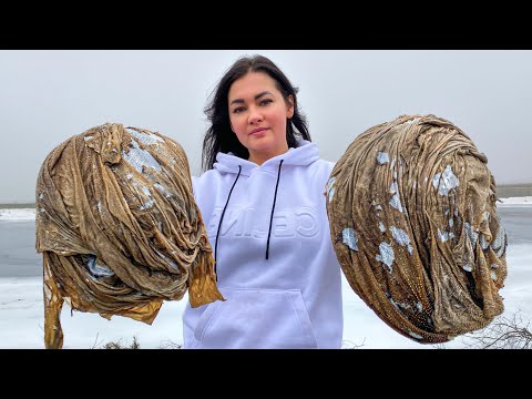 Unique Culinary Masterpieces with a Beef Stomach A New Look