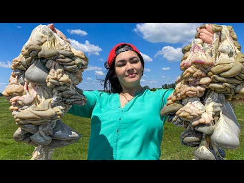 Guts that Crackle in your Mouth Full Video about Cooking