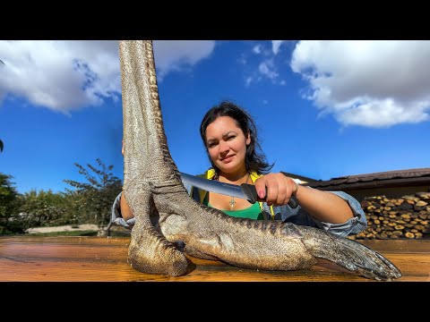 Cooking The Largest Bird OSTRICH Step by Step to a Great