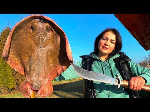 Huge kg Sea Stingray Fried in the Oven How to cook a