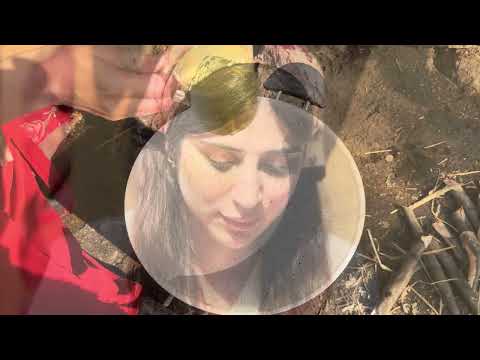 Mountain Beekeeping Homemade Pancakes with Fresh Milk