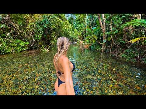 Solo Adventure Through One of the World s Oldest Rainforests