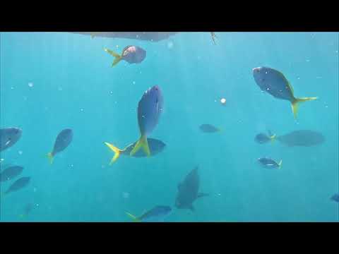 GIRLS FISHING ADVENTURE Jet Ski to a Hidden Island Paradise