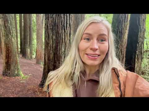 THE GREAT OCEAN ROAD Pt