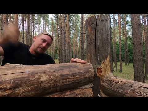 CABIN IN THE FOREST FROM THE GIFTS OF NATURE