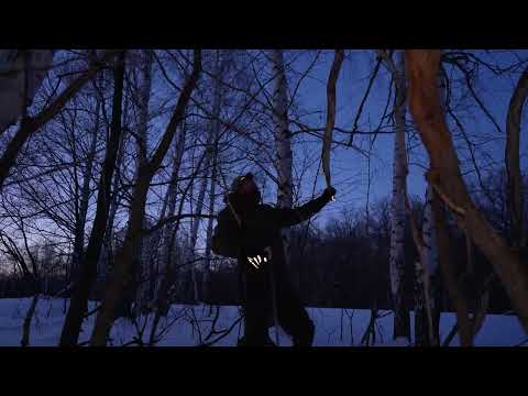 ESCAPE FROM WOLVES IN A TREE HUT SINGLE OVERNIGHT