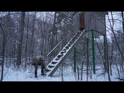 A Treehouse Saved Him from Wolves During a Blizzard