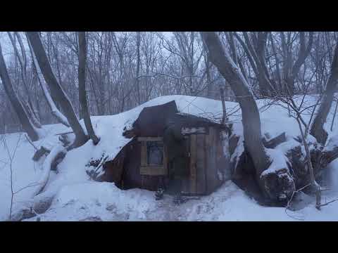He Restored a Hidden Forest Shelter Alone in a Blizzard