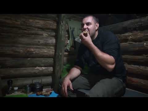 48 hours in a forest dugout solo bushcraft