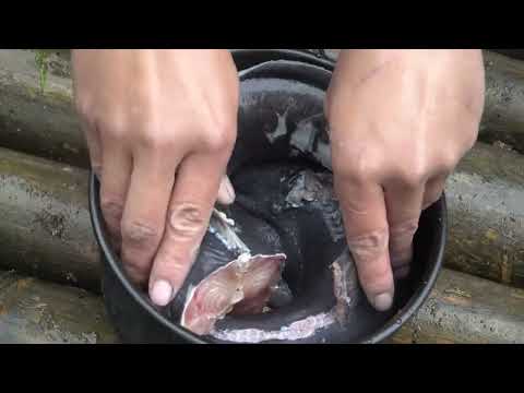 Skills catching catfish in streams survival skills survival