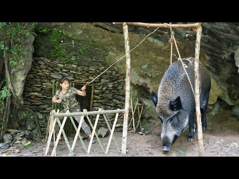 Shelter attacked by wild boar wild boar trapping skills