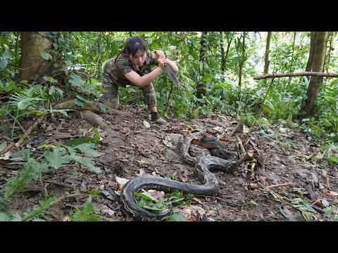 Giant Python Attacks My Prey Survival Skills Wild Chicken
