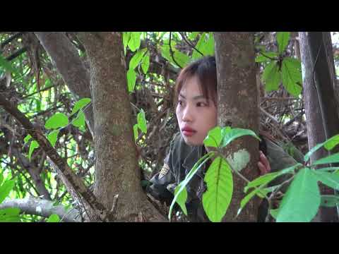 wild pheasant hunting wild bird trapping skills survival