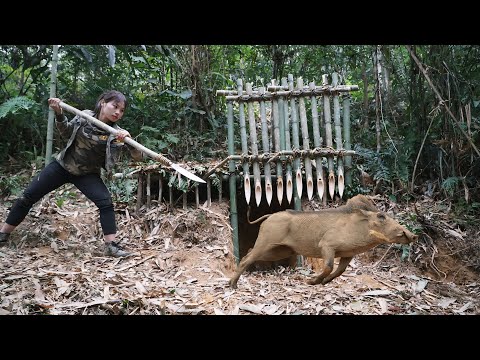 trap making skills trapping wild boars in the wild survival