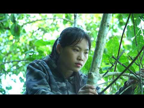 Survival Skills Discovering Wild Boars and Quickly Building