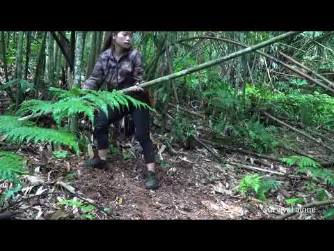 wild monkeys found eating fruit wild monkey hunting skills