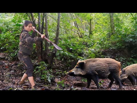 Follow the trail of wild boars dig holes to create traps to