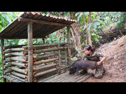 make a pig cage out of bamboo Build a survival farm
