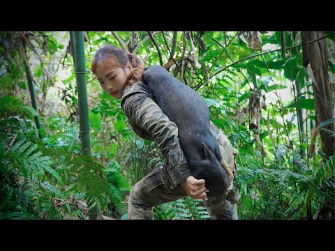 detect wild boar tracks skills set traps make doors for
