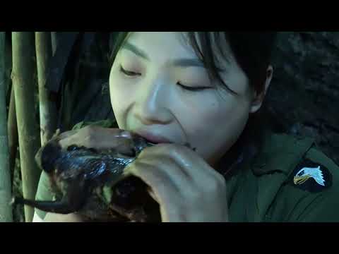 How to set traps to catch wild pigeons survival alone