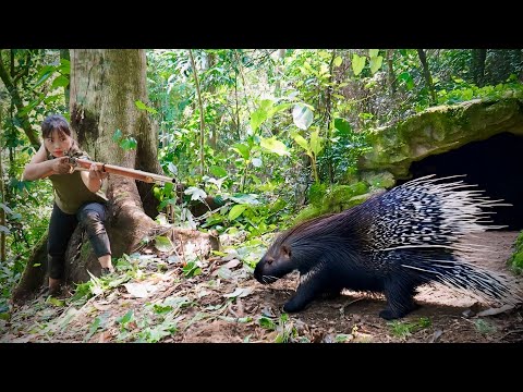 discovered a porcupine immediately made a gun from bamboo