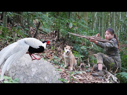Night hunting skills taking care of animals on the farm