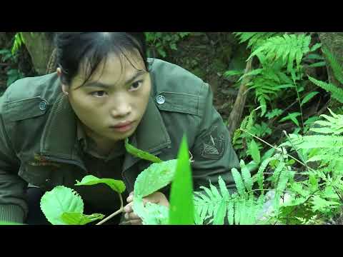 The Forest Man Destroyed My Shelter and I Began a Journey