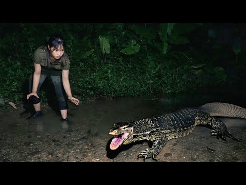 Night terrors nighttime wildlife encounters stream fishing