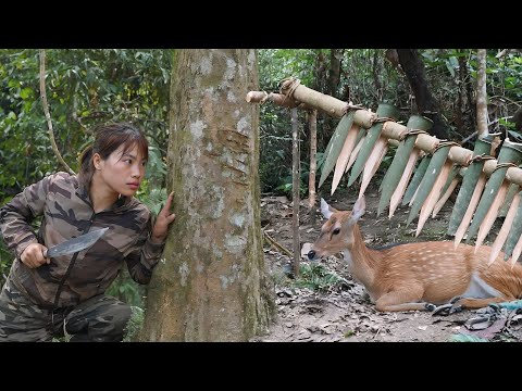 200 days of survival in the wild making traps to catch deer