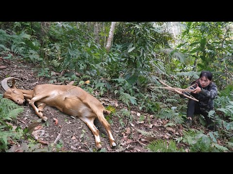 200 Days of Survival in the Wilderness Setting Traps for