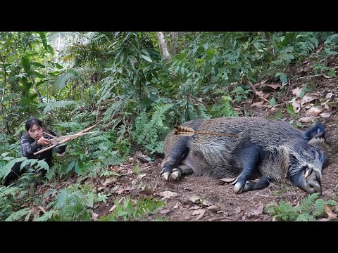 Stalk wild boars track their signs set traps and craft a