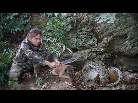 Giant python attacks my dog survival alone