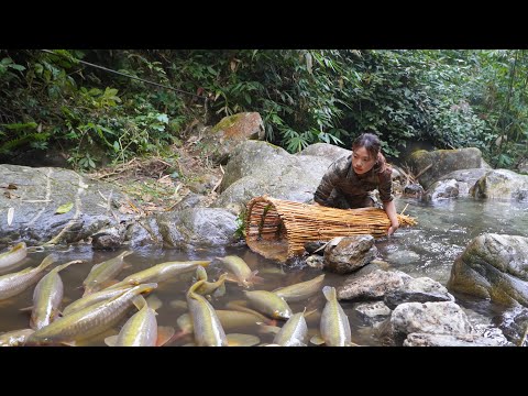 skills weaving baskets trapping fish and searching for food