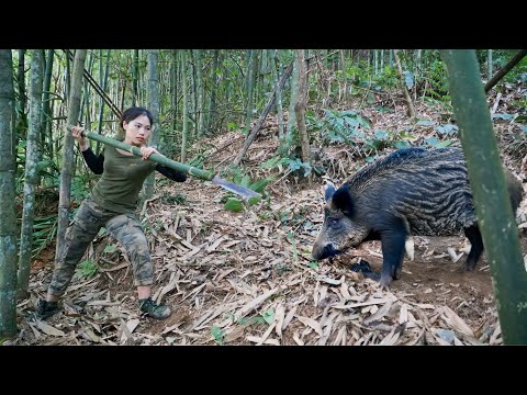 wild boar tracks dig holes and make traps to catch them