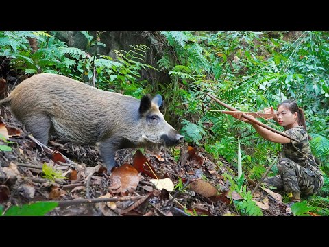Detect track wild boars set traps and capture them alive