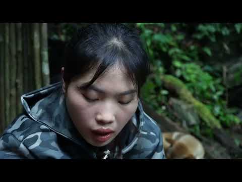 Building a Shelter Under a Tree and a Midnight Black Bear
