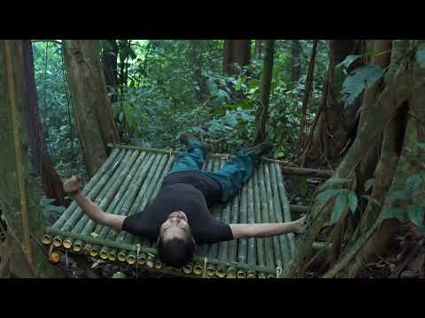 Building A Secret Shelter Deep Inside Big Tree Place Lots