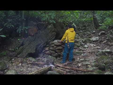 DAYS SOLO SURVIVAL NO FOOD NO WATER NO SHELTER HEAVY RAIN