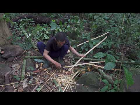 DAYS solo survival NO FOOD NO WATER NO SHELTER Catch and